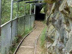 
The first 'Windows' tunnel with track n 2013, Karangahake, January 2013